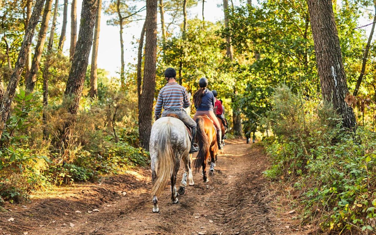 Cabane Lodge Avec Spa Privatif Livernon المظهر الخارجي الصورة
